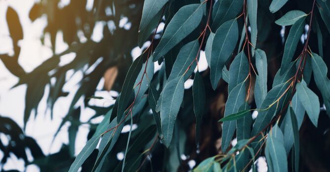 Unveiling Radiance: Nurturing the Power of Self-Confidence image