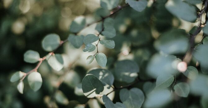 The Dance with Shadows: Unraveling the Complex Threads of Fear image