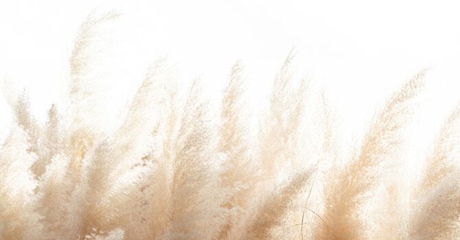  Bridging Worlds: Exploring the Intersection of Culture and Psychotherapy image