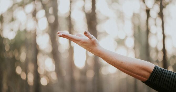 Frozen in Time: Navigating the Freeze Trauma Response image